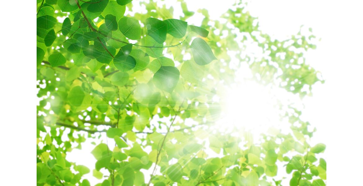 AdobeStock_111550214