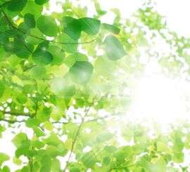 AdobeStock_111550214